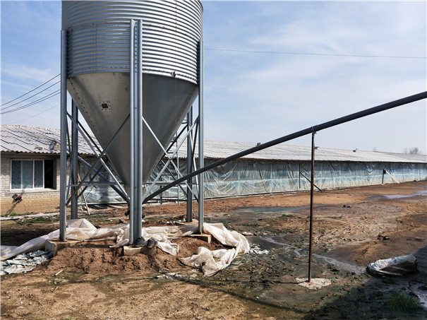 �i���B(y��ng)ֳ�Ͼ���\���� �����Ԅ��ι�� �B(y��ng)�i���� ��\����