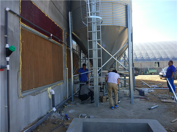 �Ͼ� �B(y��ng)�i�B(y��ng)�i�O(sh��)�� �Ͼ������� ��\������ �B(y��ng)ֳ����