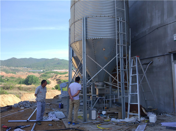 �Ͼ� �B(y��ng)�i�Ͼ� ��\���B(y��ng)�i���� ��\�����S�����P��