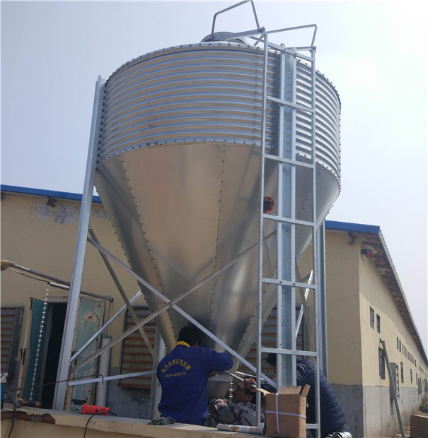 �S��ֱ�Nȫ�Ԅ������Ͼ� �B(y��ng)�i�Ͼ���������\����