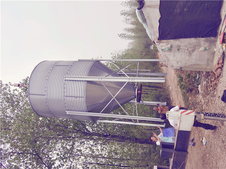 �S��ֱ�N��������\������ �Ԅӹ�����\������ ������\������