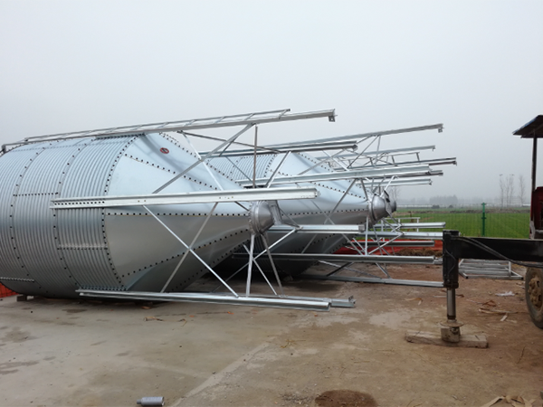 ����_�����_���� ��ς}(c��ng) ��\������