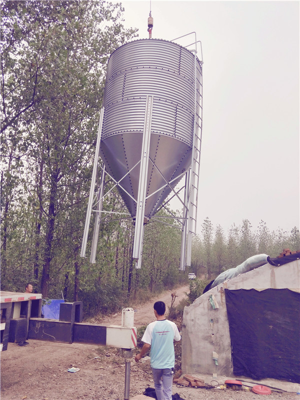 ���b��\������ ���Ϲ� �ς}�Ͼ� �Ͼ�������