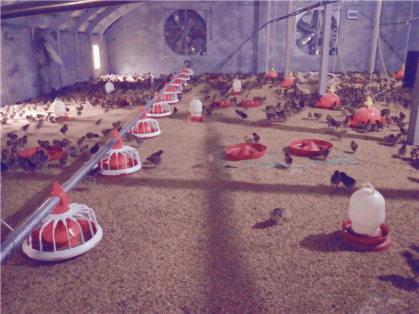 �B(y��ng)�u�O(sh��)��_�Ԅӻ��B(y��ng)�u�O(sh��)��_�B(y��ng)�u�O(sh��)�����a(ch��n)�S��