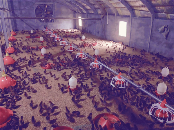 �B(y��ng)�u�O(sh��)��|�B(y��ng)���O(sh��)��|�Ԅ�(d��ng)�B(y��ng)�u���O(sh��)��S��