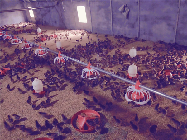 ȫ�Ԅ�(d��ng)�B(y��ng)�u�O(sh��)��/���u�O(sh��)��/�B(y��ng)���O(sh��)��S�����l(f��)