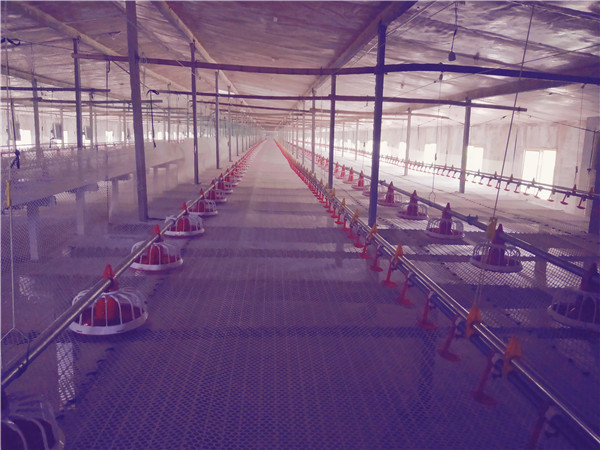 �B(y��ng)�u�O(sh��)��|�B(y��ng)�u�C(j��)е|���u�B(y��ng)ֳ�O(sh��)��|�Ԅ�(d��ng)���B(y��ng)�u�O(sh��)��