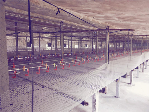 ȫ�Ԅ�(d��ng)���B(y��ng)�u�O(sh��)�����a(ch��n)�S��,�I�B(y��ng)�u�O(sh��)�����x�P���r(n��ng)��