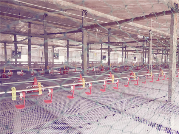 �B(y��ng)�uˮ��_�B(y��ng)�u�Ͼ�_���u�Ͼ�_���u�Ͼ�_�B(y��ng)�u�O(sh��)��_�B(y��ng)ֳ�O(sh��)��Ʒ��