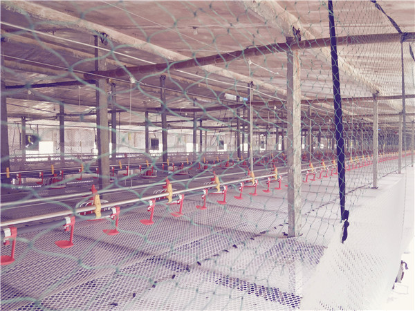 �B(y��ng)�uˮ��_�B(y��ng)�u�Ͼ�_���u�Ͼ�_���u�Ͼ�_�B(y��ng)�u�O(sh��)��_�B(y��ng)ֳ�O(sh��)��Ʒ��