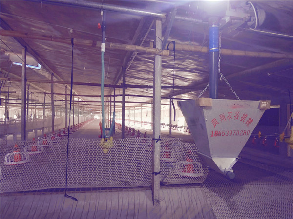 �B(y��ng)�u�O(sh��)��-�B(y��ng)�u�O(sh��)��S��-�B(y��ng)�u�O(sh��)���(b��o)�r(ji��)-�B(y��ng)�u�O(sh��)�����l(f��)