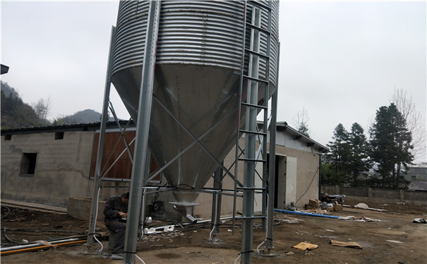 ����(y��ng)��\������ �ς}�Ͼ����Ϲ� �B(y��ng)ֳ������