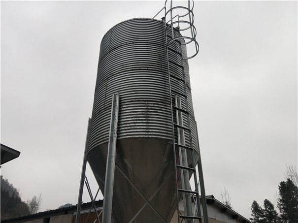 �S�Ҷ��� ��\������ �B(y��ng)ֳ����� ɢ�b�����S��