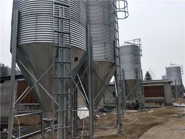 �B(y��ng)ֳ������ ��(ch��)���� ��\������ 