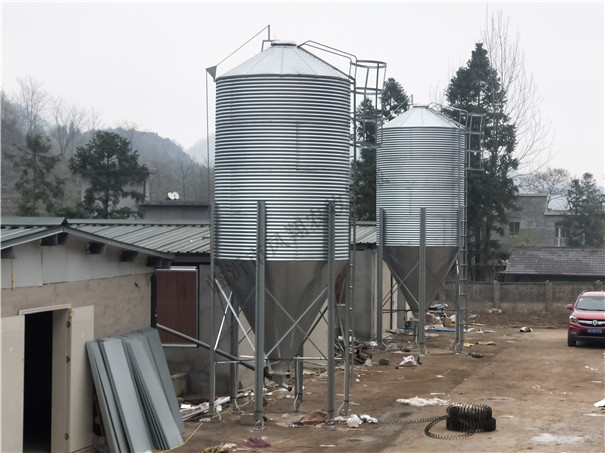 �S�Ҷ����B(y��ng)ֳ�����\���� ɢ�b����