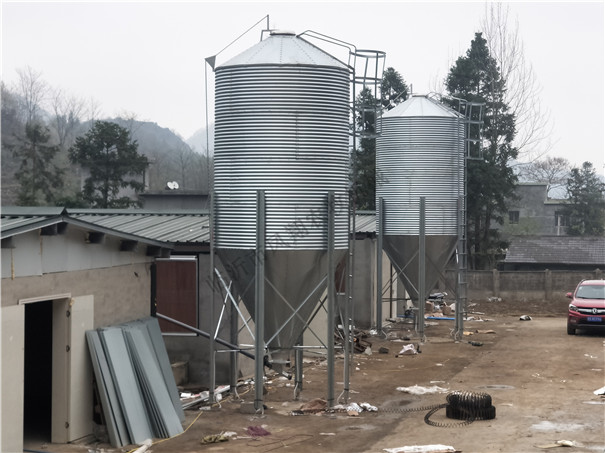 �B(y��ng)ֳ������\䓰������ ȫ�����T���b