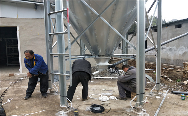 �S�ҹ���(y��ng)��\���� ����\�ς} ɢ�b����