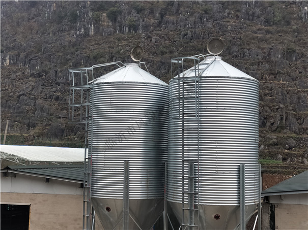 �B(y��ng)ֳ����10��20����35������\����