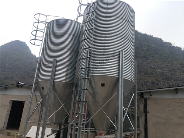 �P���r(n��ng)������\�����gӭӆُ