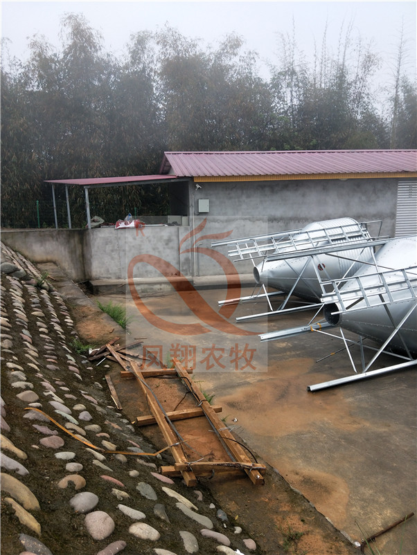 ����\�������r�� ��\䓰�}���������P