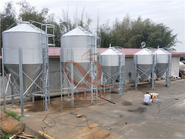 �V����\�����N�� ������\�����N��