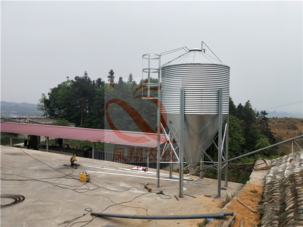 ����\������ ������̭���������