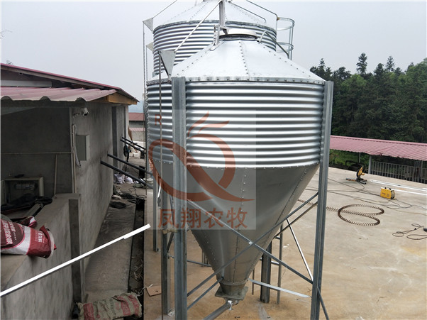 �P���r(n��ng)����\�������S��ֱ�N�r(ji��)��/ɽ�|��\�������S��