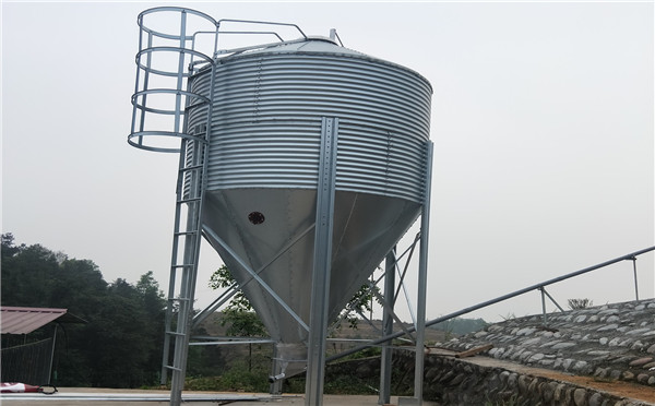 �B(y��ng)ֳ��ɢ�b����� ��\����