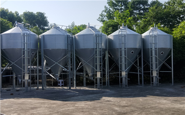 ɢ�b����� �B(y��ng)ֳ�����S��