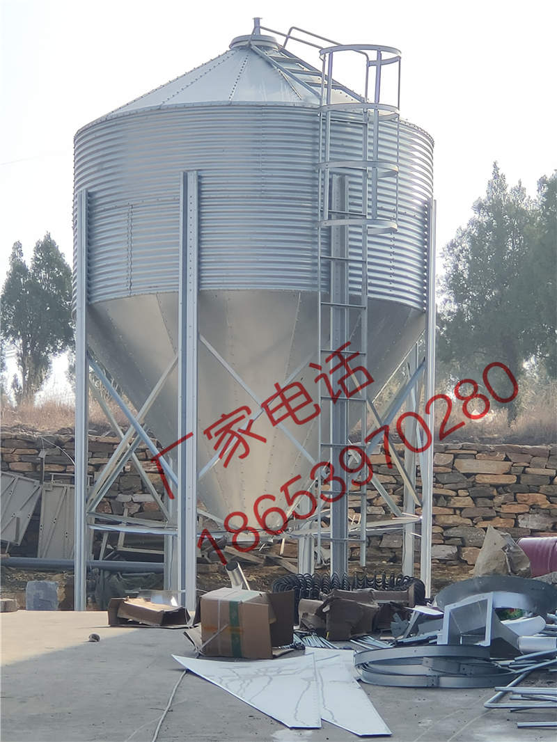 ɽ�|�����S�ҹ�������\����