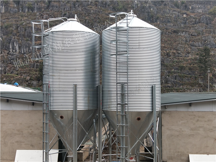 �B(y��ng)�i����