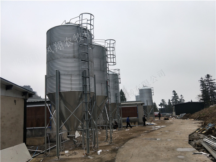 �B(y��ng)�i�������