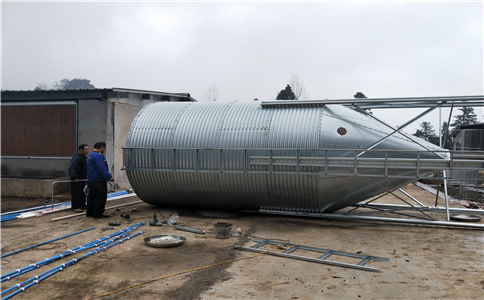 ���P�����