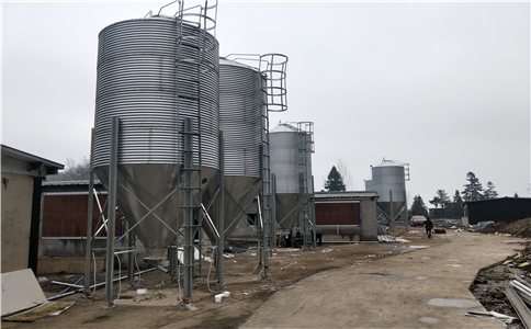 ���P�����