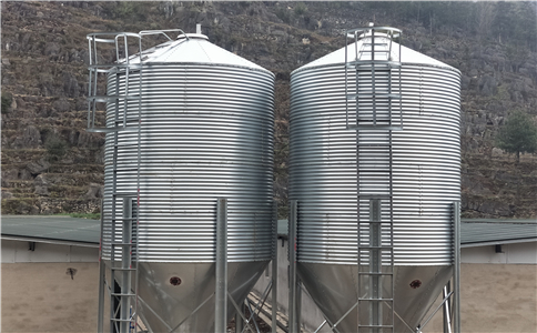 ���P�����