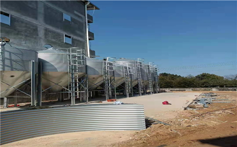 �B(y��ng)�i����