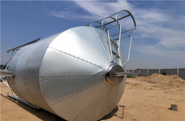 ���P�����