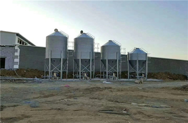 ���P�����