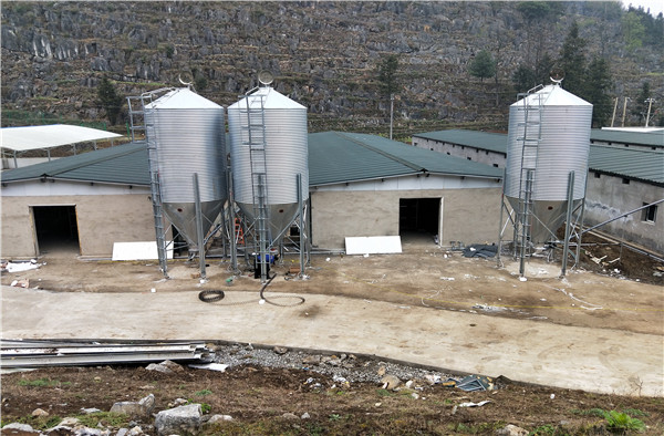 ���P�����